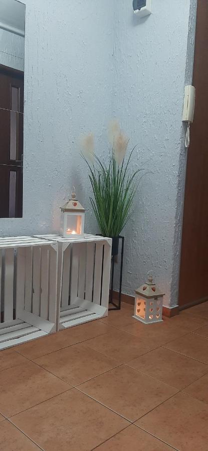 Appartamento Flowers Apartament Piła Esterno foto