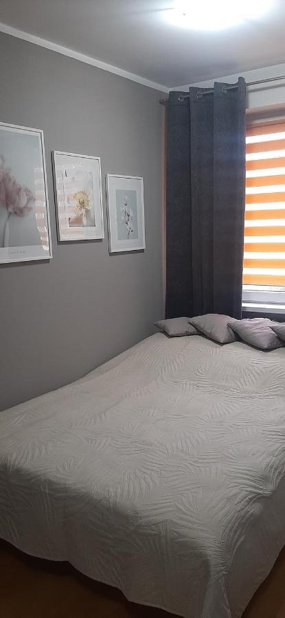 Appartamento Flowers Apartament Piła Esterno foto