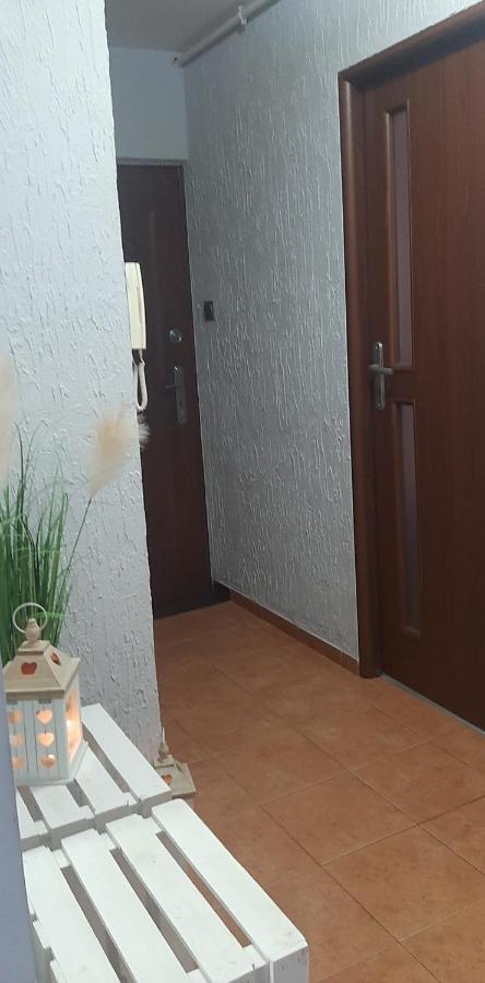 Appartamento Flowers Apartament Piła Esterno foto