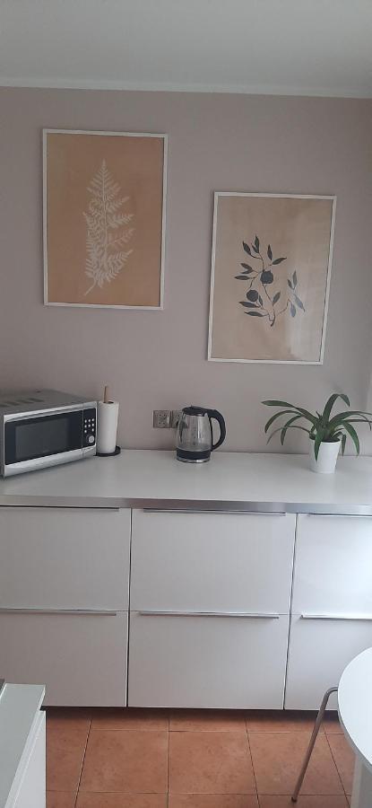 Appartamento Flowers Apartament Piła Esterno foto