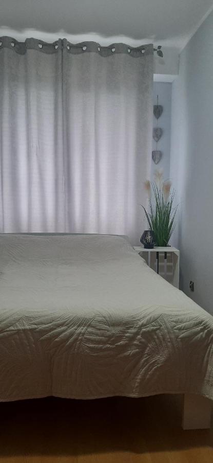 Appartamento Flowers Apartament Piła Esterno foto