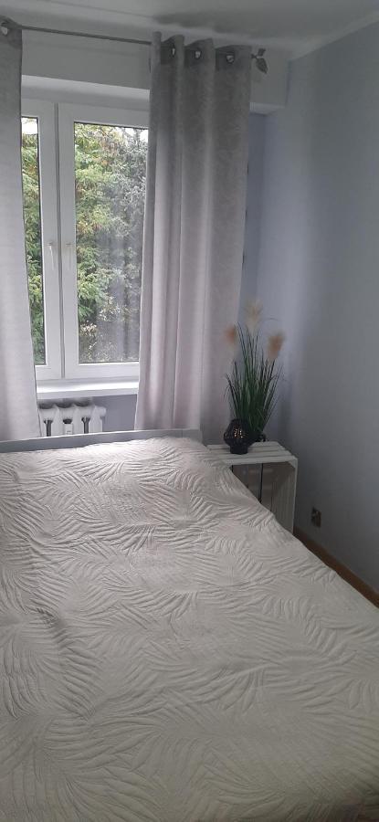 Appartamento Flowers Apartament Piła Esterno foto